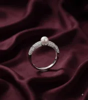The Pearl in Embrace