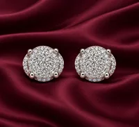 Luxe Radiance Earring