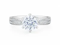 Elegant Round Cut Silver Ring