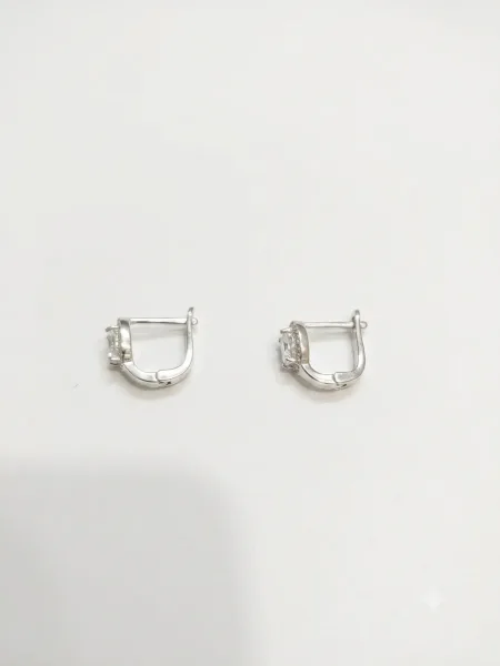 Celeste Solitaire Huggie Earrings