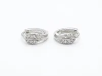 Luna Curve Hoops