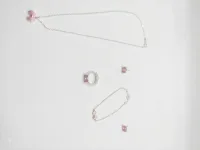 Petal & Pink Butterfly Collection with pendant and bracelet and earrings and ring