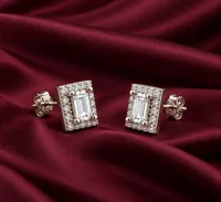 Silver Radiance Earring