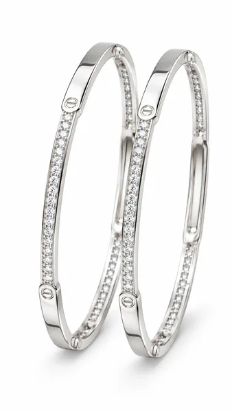 Eternal Twin-Line Luxe Bangle