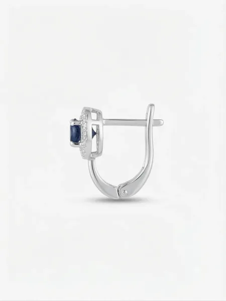 huggie hoop earrings