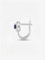 huggie hoop earrings