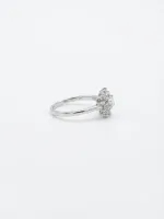 Item name -Celestia Halo Ring